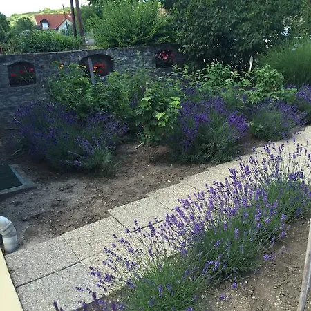 Apartament Viktoria *