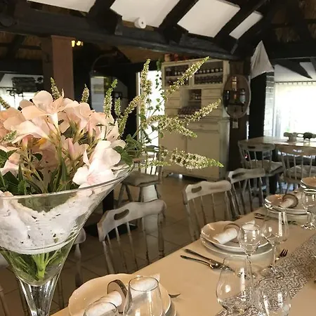 Апартаменты Viktoria Тихань