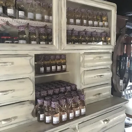 Apartament Viktoria *