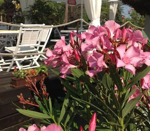 Apartman Viktória *