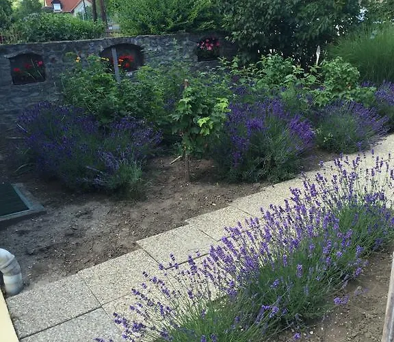 Apartman Viktória *